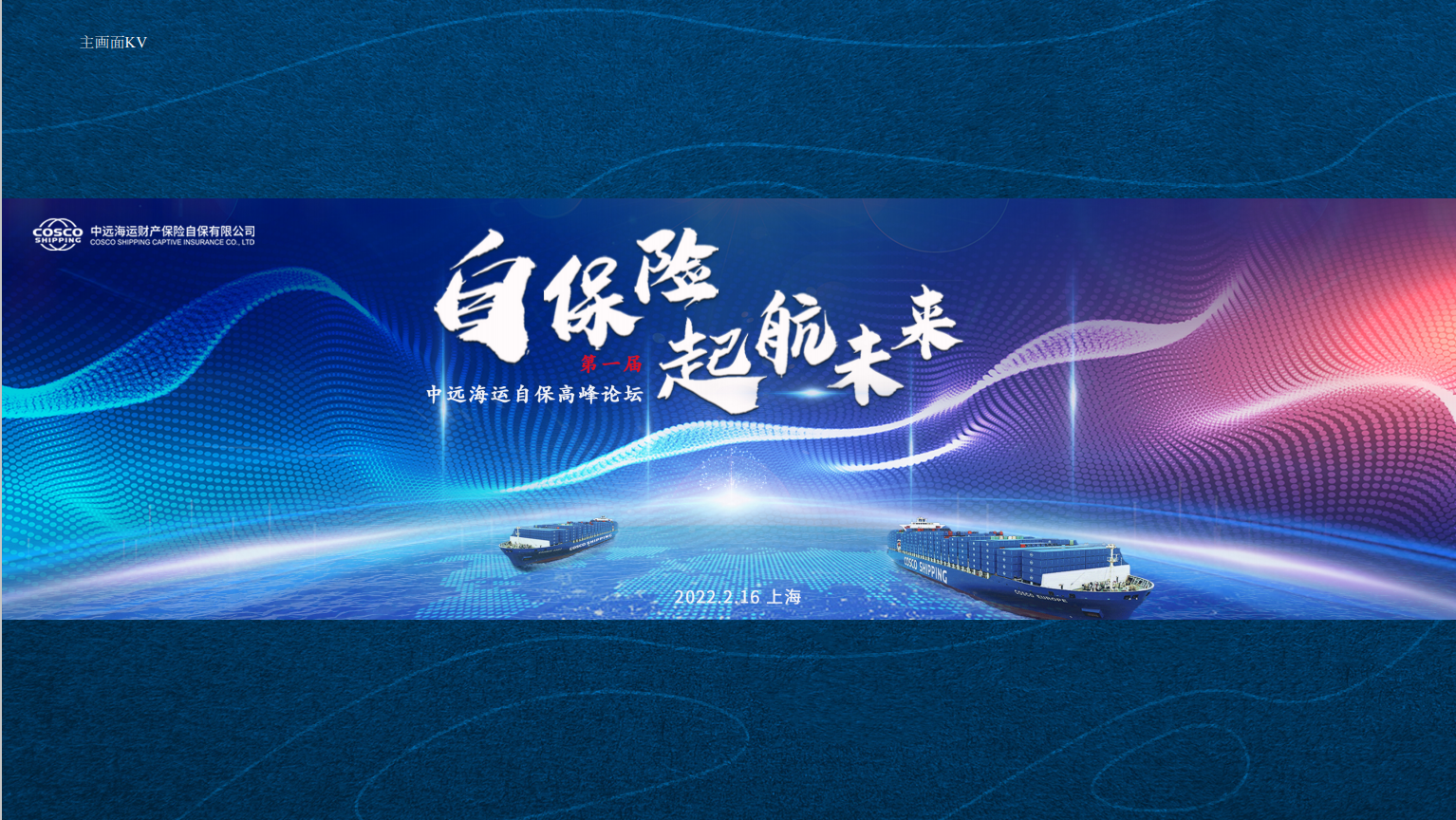 中远海运自保高峰论坛VI设计