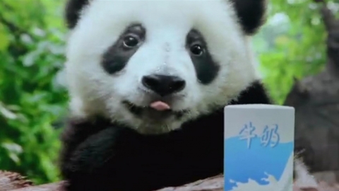 TetraPak_Panda_利乐包