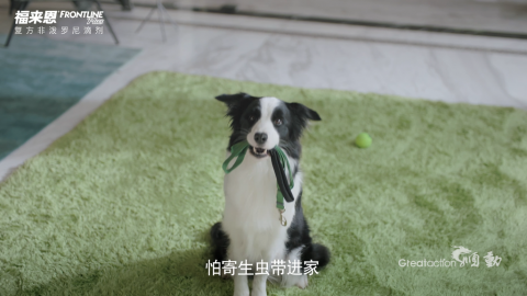 福来恩-宠物驱虫广告片